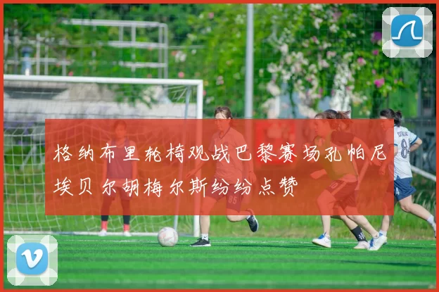格纳布里轮椅观战巴黎赛场孔帕尼埃贝尔胡梅尔斯纷纷点赞